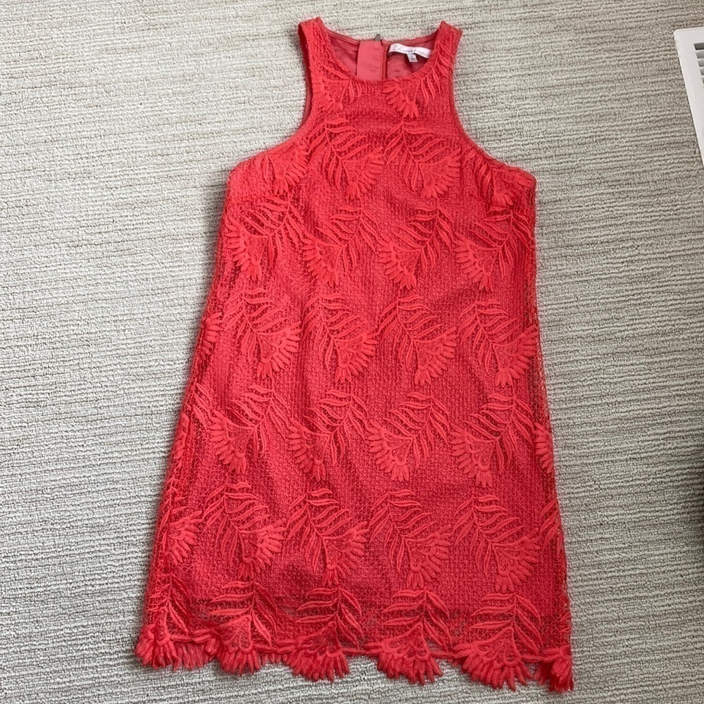 Loves and Friend Caspian Shift Dress NWOT - Picture 2 of 6